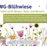 HWG Blumenwiese